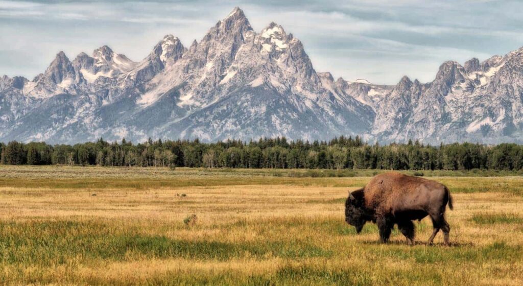 Grand Teton National Park