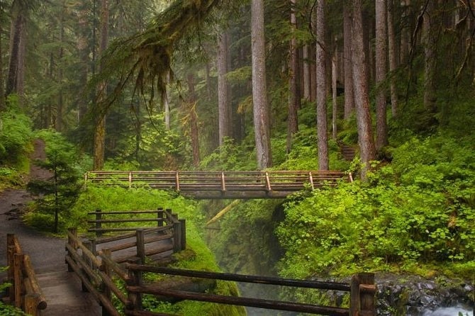 Olympic National Park