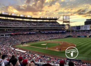 Experience a Classic Ball Game