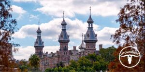 Exploring the Best of Houston, Texas and Tampa, Florida