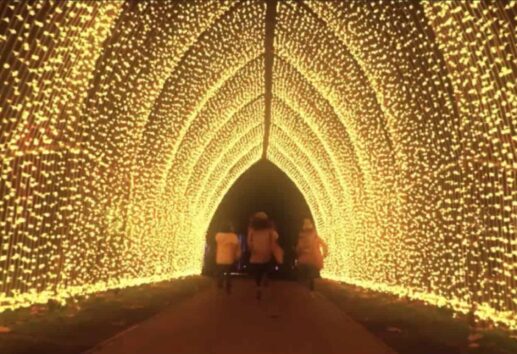 Lightscape — The Houston Botanic Holiday Event of the Year