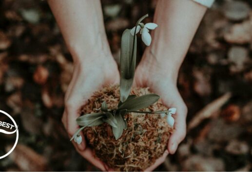 What Month is the Best to Start a Garden in Houston