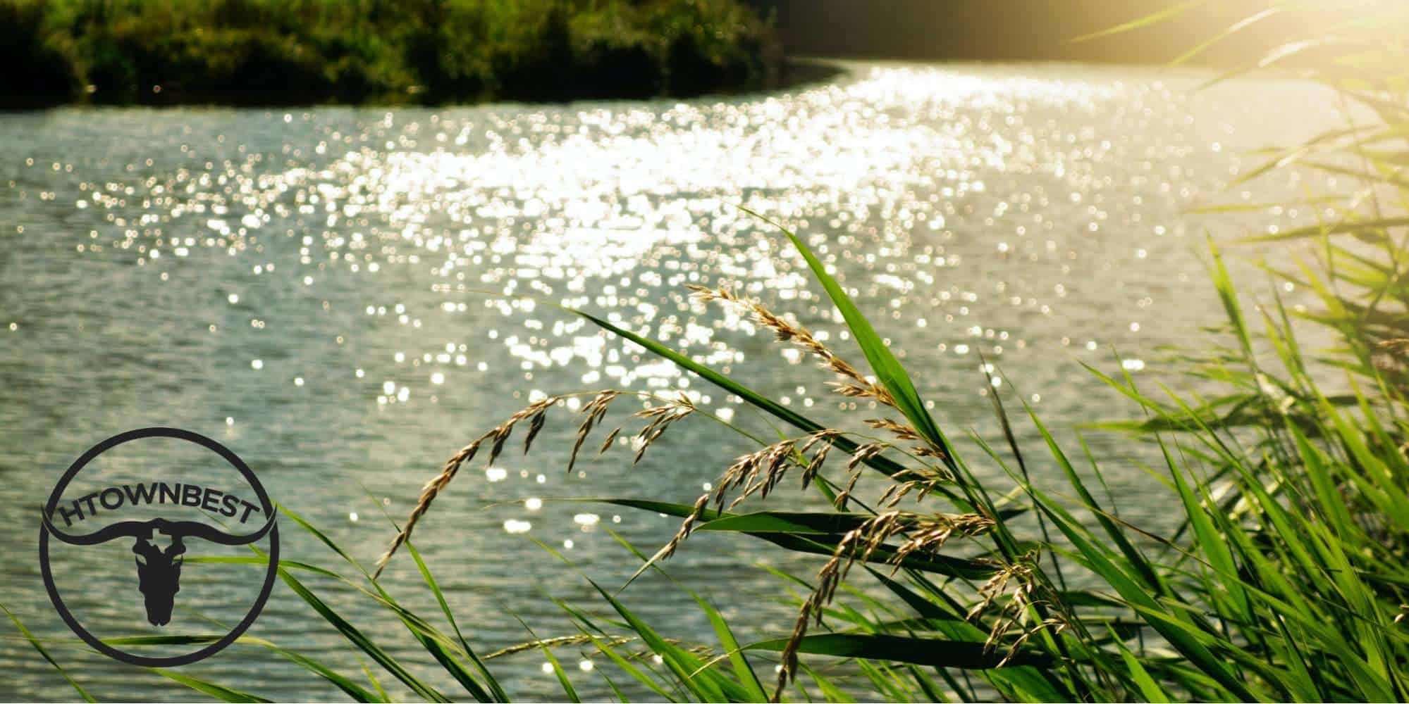 Why You Should Try Floating the Frio River in Houston