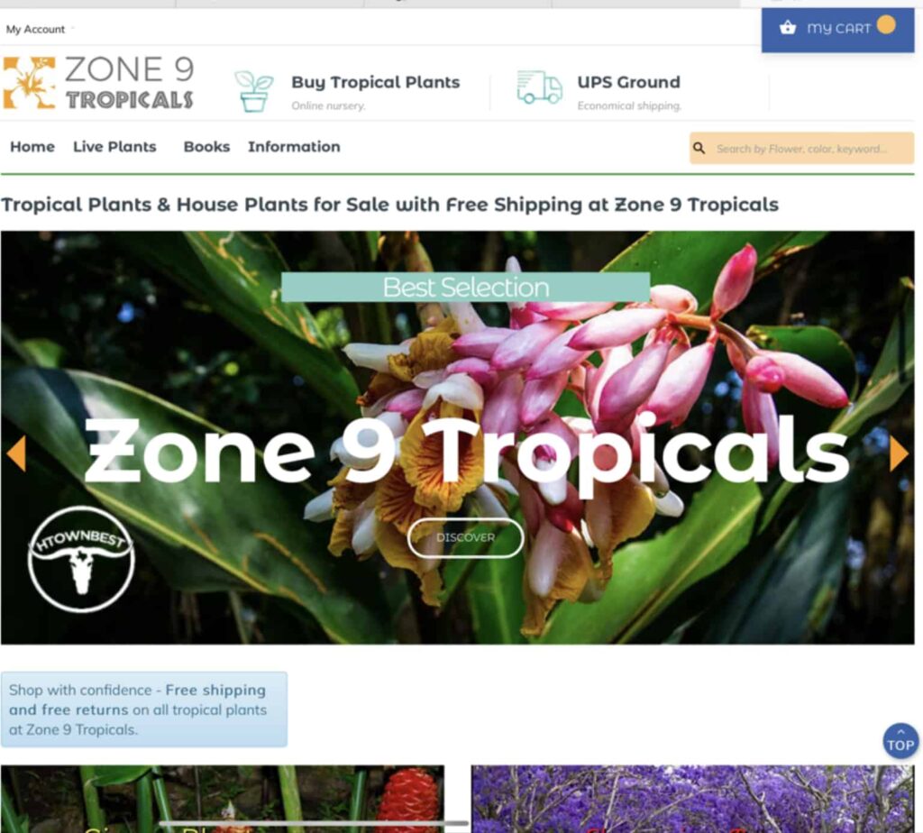 Zone 9 Tropicals Homepage