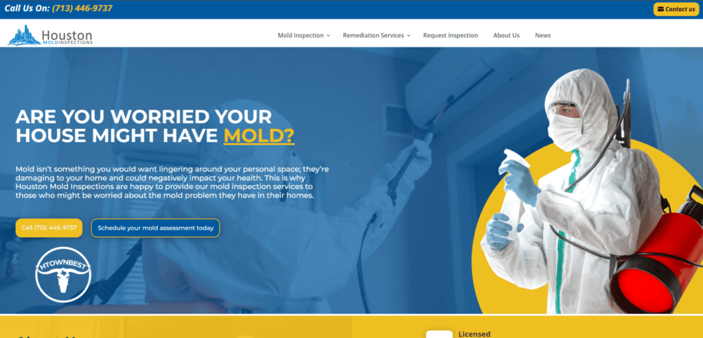 Mold Inspection Houston Homepage