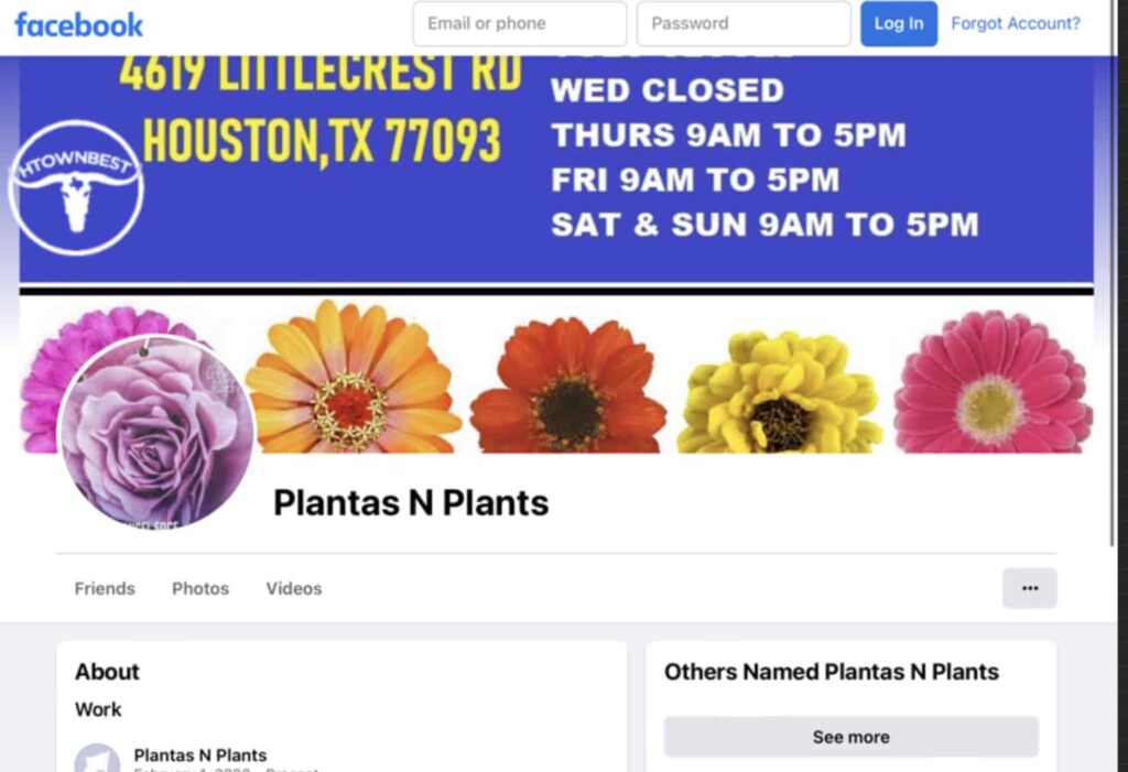 Plantas N Plants Homepage