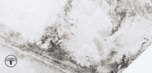 Top 5 Mold Inspection Companies in Houston Homepage
