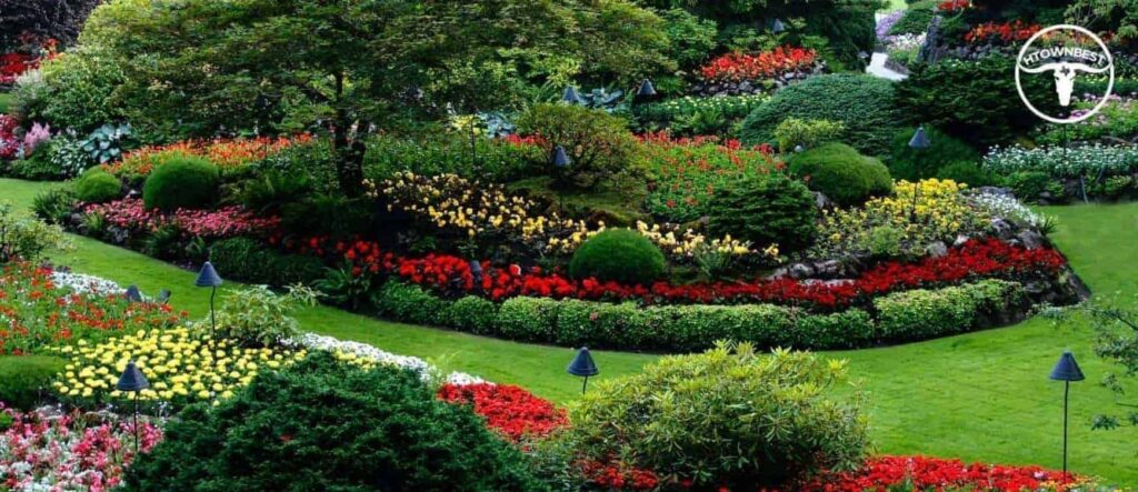 5 Best Landscape Contractors in Houston