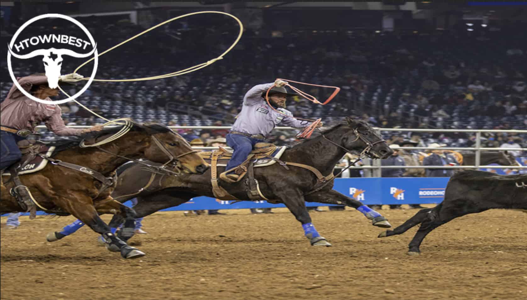 The Only Guide You’ll Ever Need for the Houston Rodeo [2026]