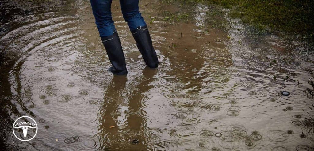 The 5 Best Water Damage Repair Companies in Houston