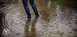 The 5 Best Water Damage Repair Companies in Houston