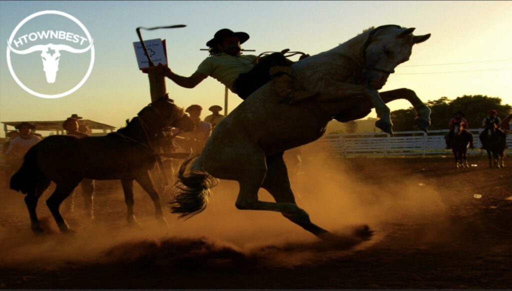 The Only Guide You’ll Ever Need for the Houston Rodeo [2026]