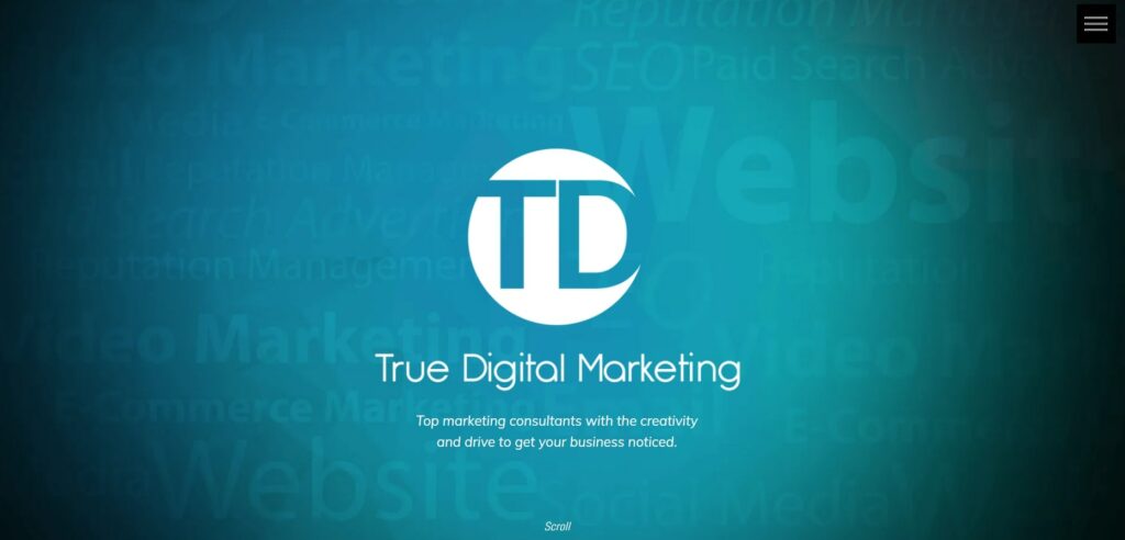 True Digital Marketing Homepage