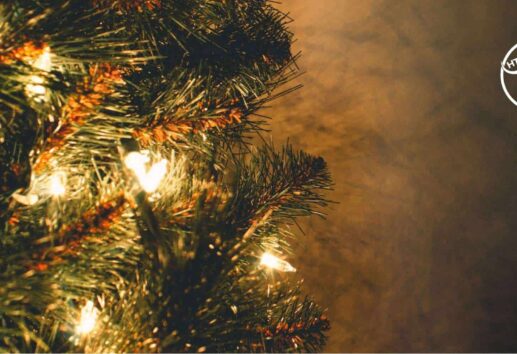 Guide to the Best Christmas Lights Displays in Houston