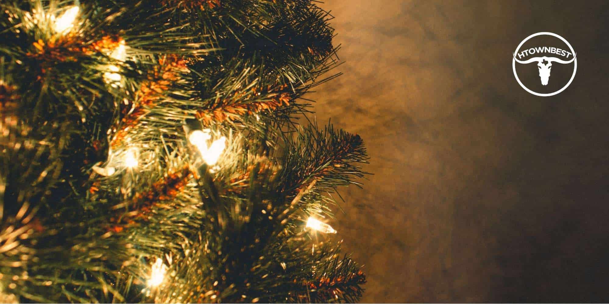 Guide to the Best Christmas Lights Displays in Houston