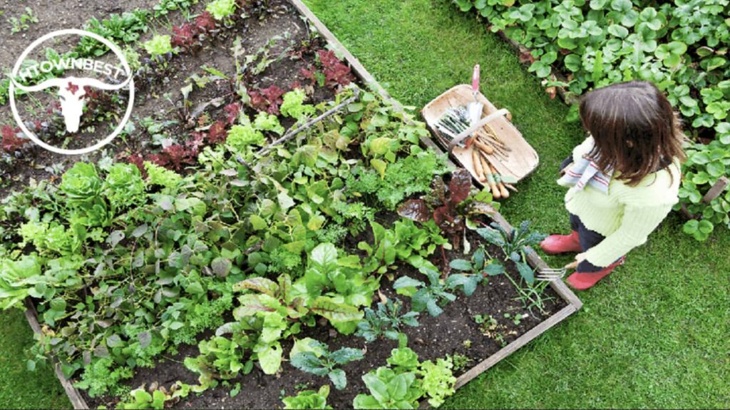 How do I garden in Houston