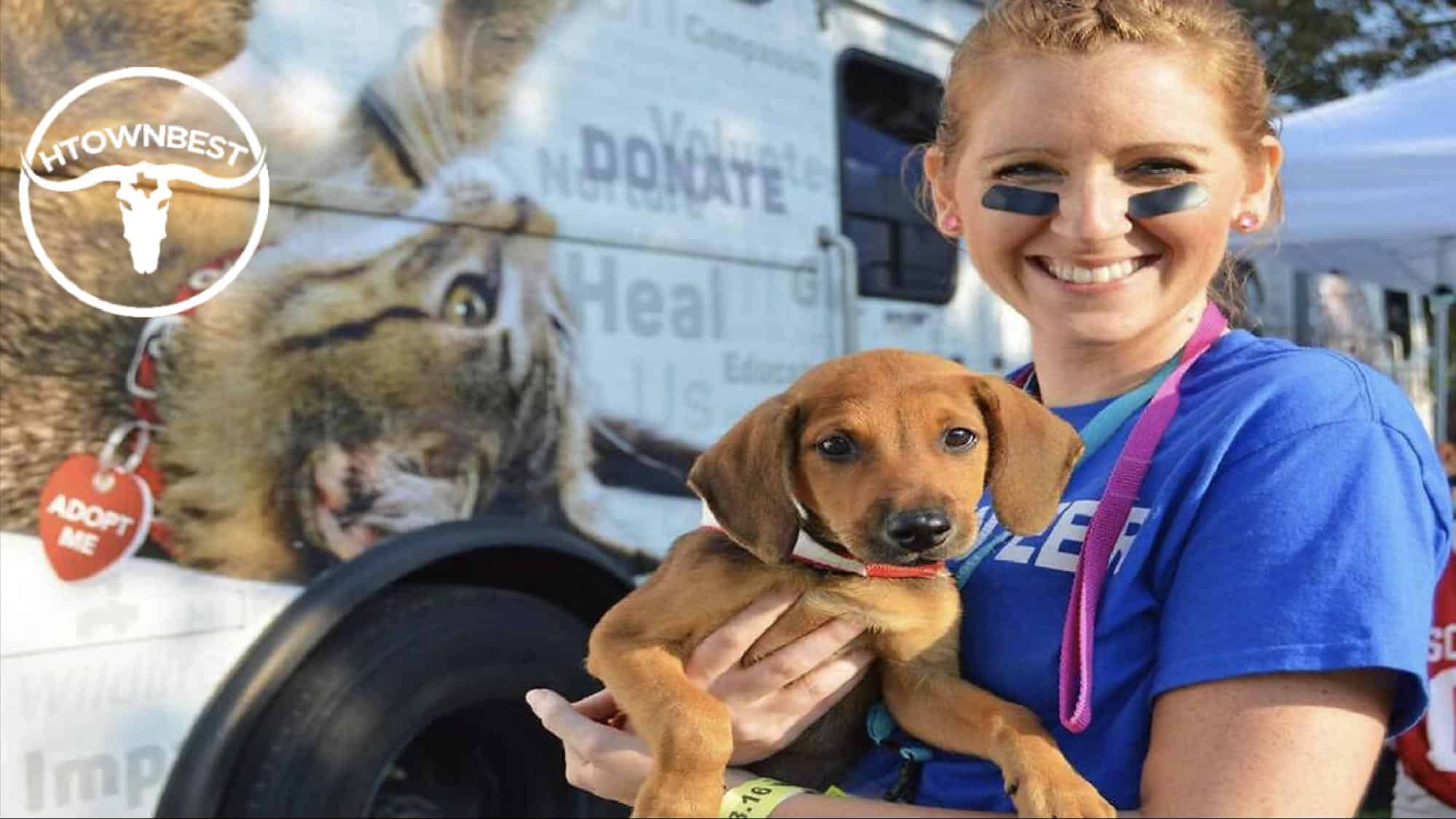 How-to Guide Volunteering at an Animal Shelter in Houston