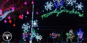 Moody Gardens Festival of Lights