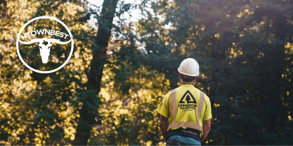 The 5 Best Tree Services in Houston