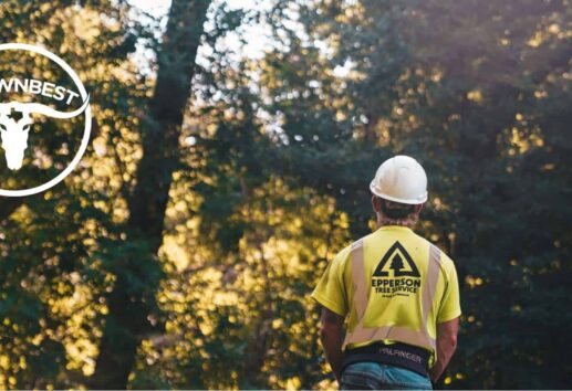 The 5 Best Tree Services in Houston