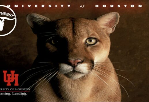 The Story Behind the University of Houston’s Mascot Shasta