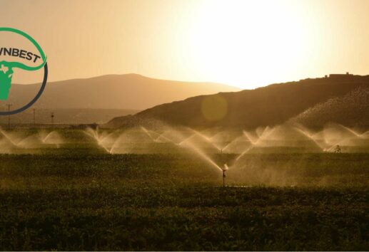 Top 5 Sprinkler Repair in Houston