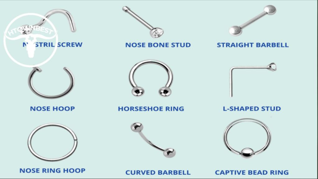 What are some different types of nose jewelry
