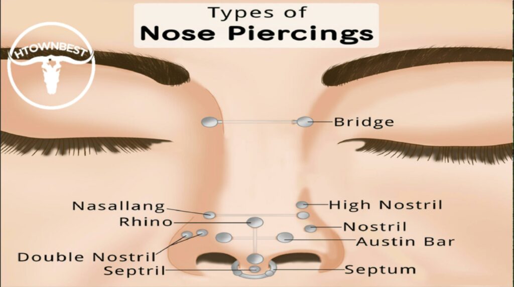 What are the different types of nose piercings in Houston
