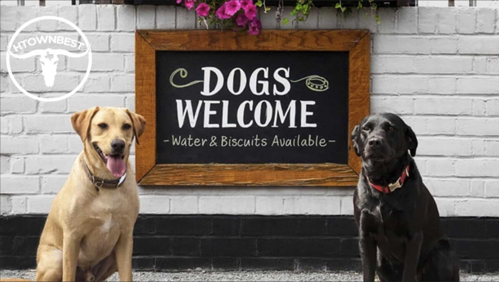 The Best of Houston Dog Friendly Places