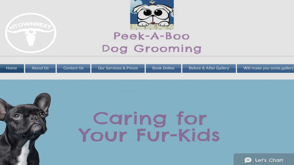 The 8 Best Dog Grooming Services in Houston [2026 ]