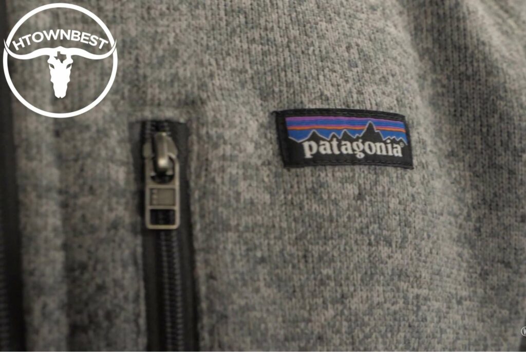 Patagonia's Homepage