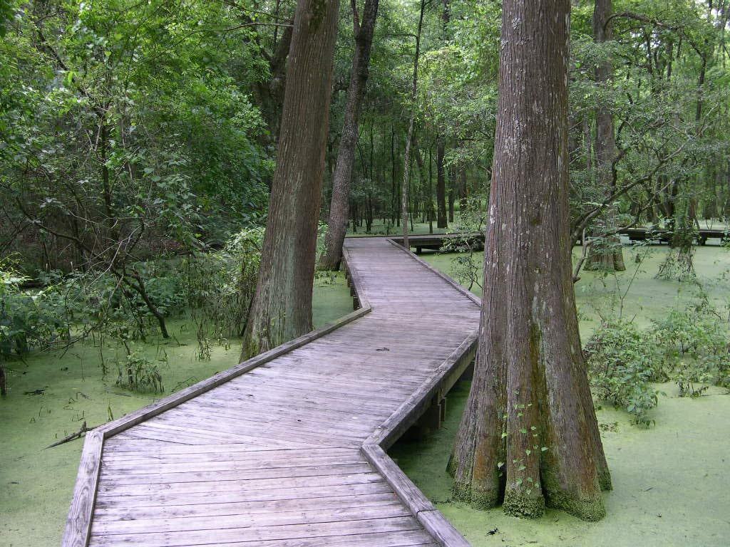 Houston Texas Website
