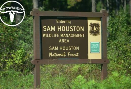 Sam Houston National Forest All You Need to Know