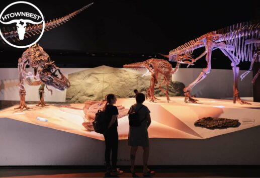 All You Need to Know about the Houston Museum of Natural Science