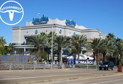 The Sea in the City Your Guide to the Downtown Aquarium in Houston