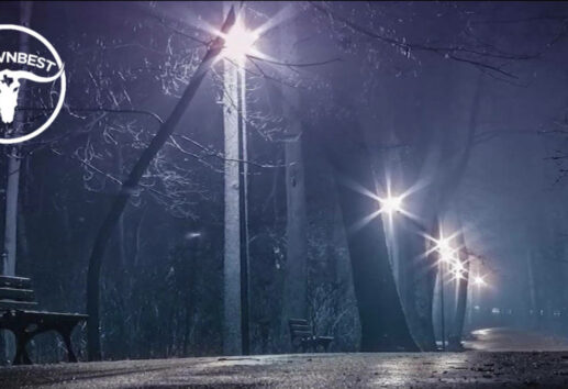 The Top 4 Ghost Tours in Houston, Based on Experience