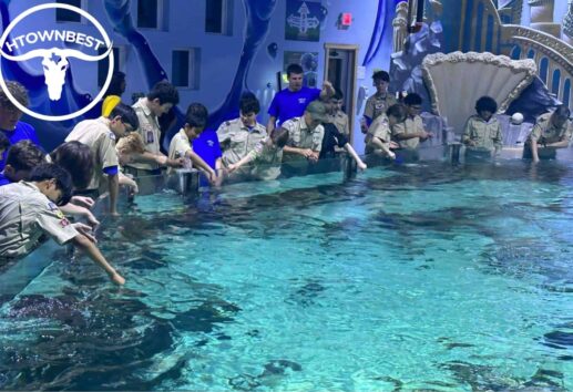 The Ultimate Guide Exploring the Houston Interactive Aquarium & Animal Preserve