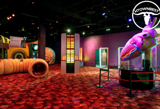 A Journey to Wellness within the Health Museum Houston