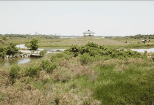 Discovering the Wonders in the Baytown Nature Center