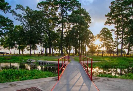 Exploring the Outdoors at Houston’s Alexander Deussen Park