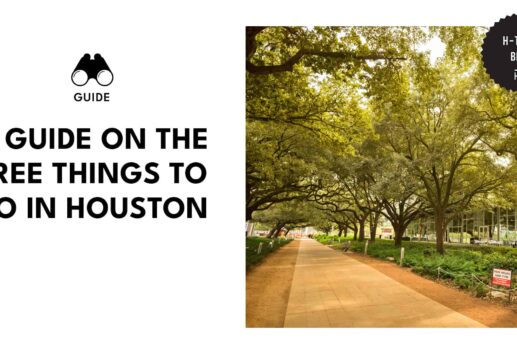 Cheap Thrills A Guide On The Free Things To Do In Houston