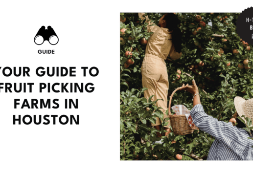 fruitpicking-houston