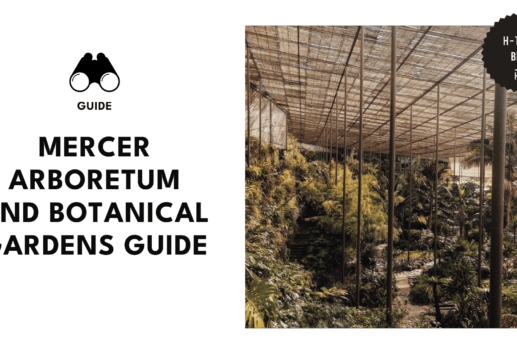 mercer-arboretum-and-botanical-gardens