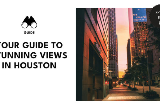 views-houston