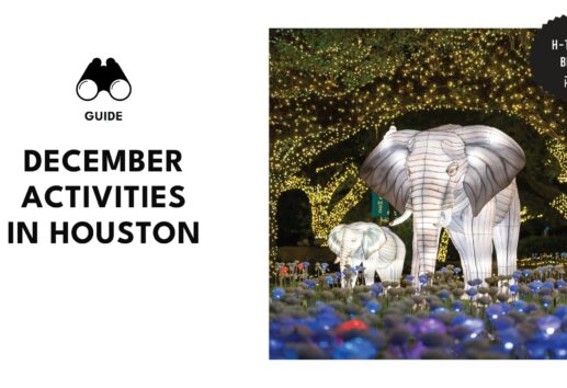 december-activities-houston-banner