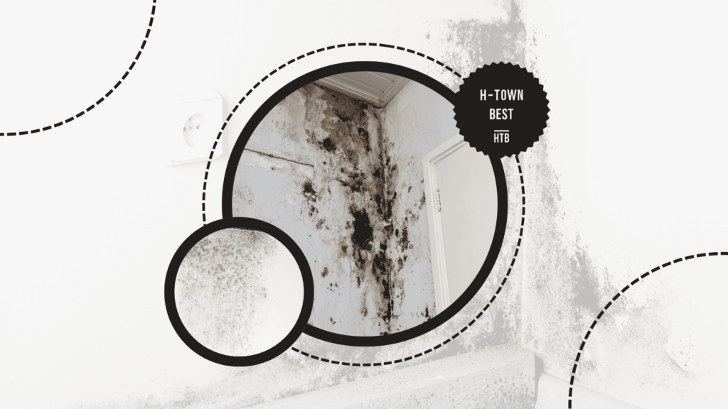 mold-problems