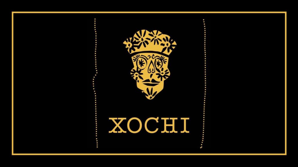 xochi-logo