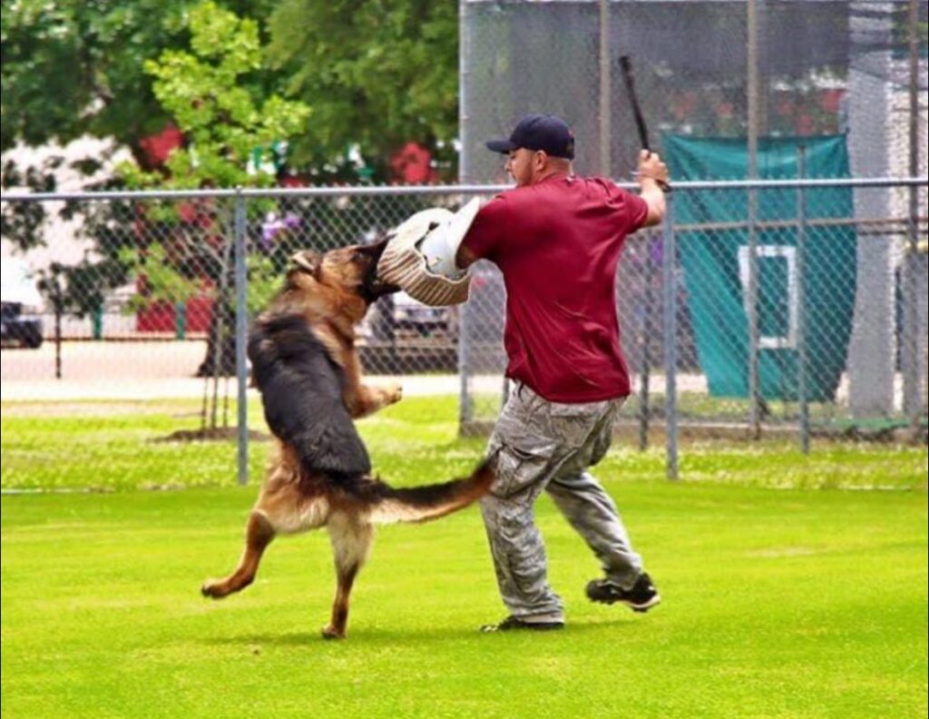 Training - Anthony Bite Work
