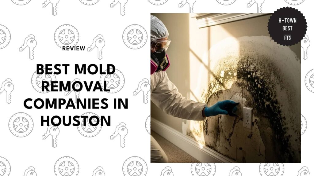 best-mold-removal-houston-banner