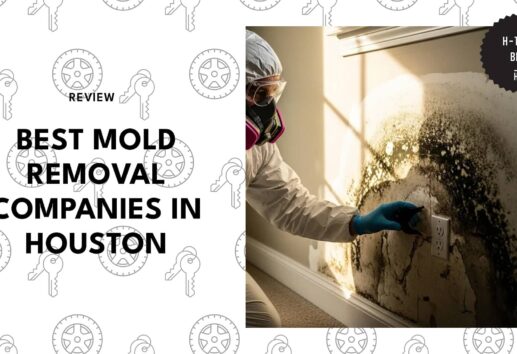 best-mold-removal-houston-banner